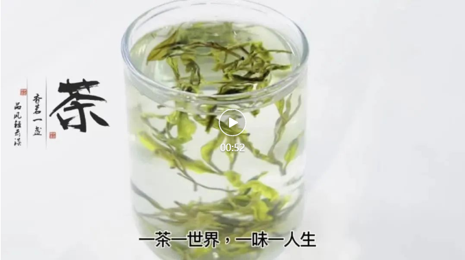 四食丰语|万八千的春茶,自己在家就能做