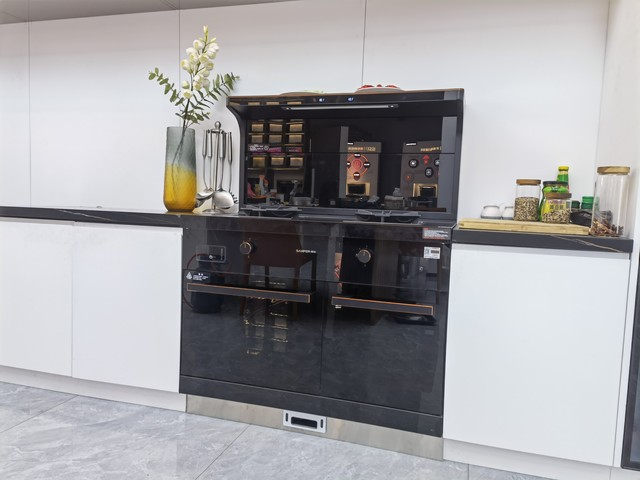 集成灶品牌哪个好？X1双子星Max蒸烤同步集成灶让我从小白变大厨