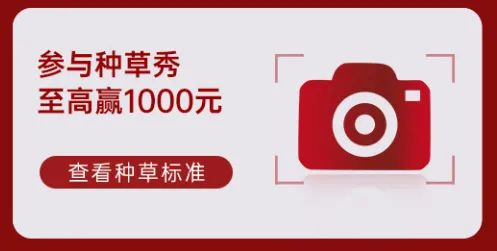 帅丰电器再夺全网第一!双十一当天限时直降,狂欢最后一天! 帅丰电器再夺全网第一!双十一当天限时直降,狂欢最后一天!