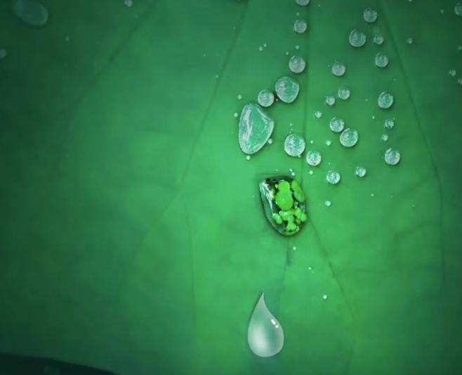 帅丰集成灶易清洁的秘密,探索晶钢王面板的神奇“魔法” 帅丰集成灶易清洁的秘密,探索晶钢王面板的神奇“魔法”