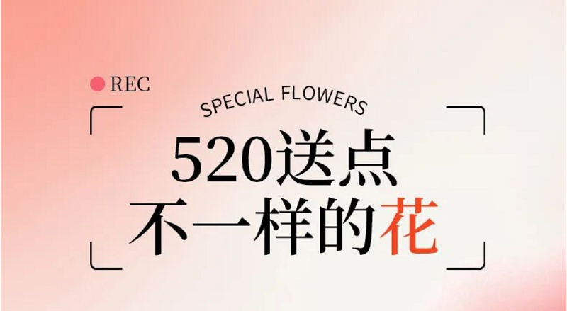 520送点不一样的“花”吧  520送点不一样的“花”吧