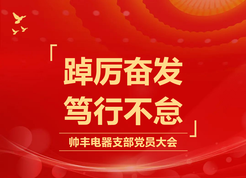 踔厉奋发 笃行不怠 | 帅丰电器开展支部党员大会暨书记讲党课    踔厉奋发 笃行不怠 | 帅丰电器开展支部党员大会暨书记讲党课