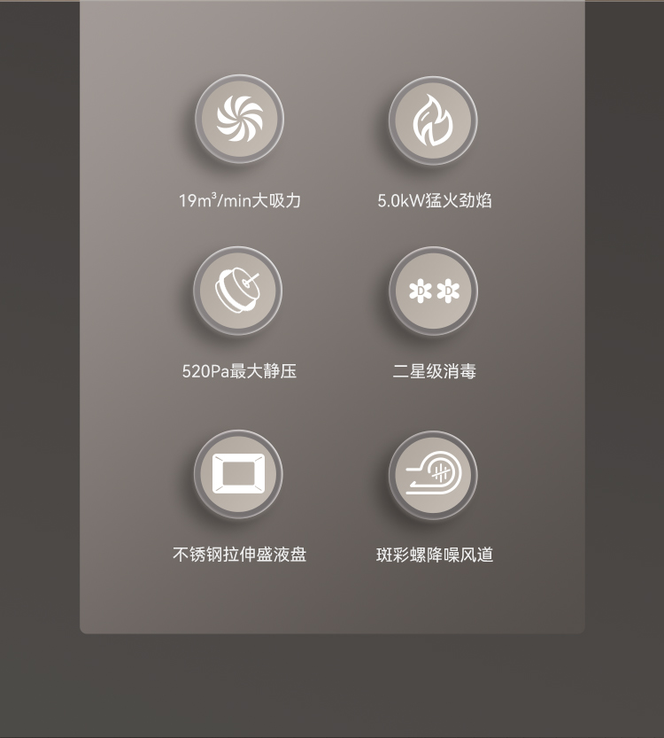 帅丰ND6消毒柜款集成灶