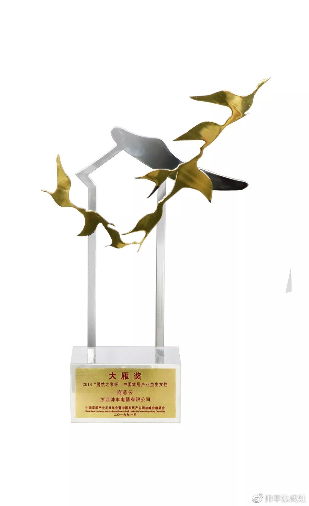 2019斩获多项个人大奖,帅丰以董事长商若云为傲 2019斩获多项个人大奖,帅丰以董事长商若云为傲