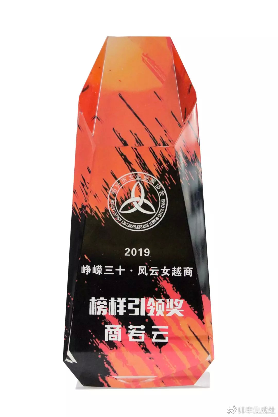 2019斩获多项个人大奖,帅丰以董事长商若云为傲 2019斩获多项个人大奖,帅丰以董事长商若云为傲