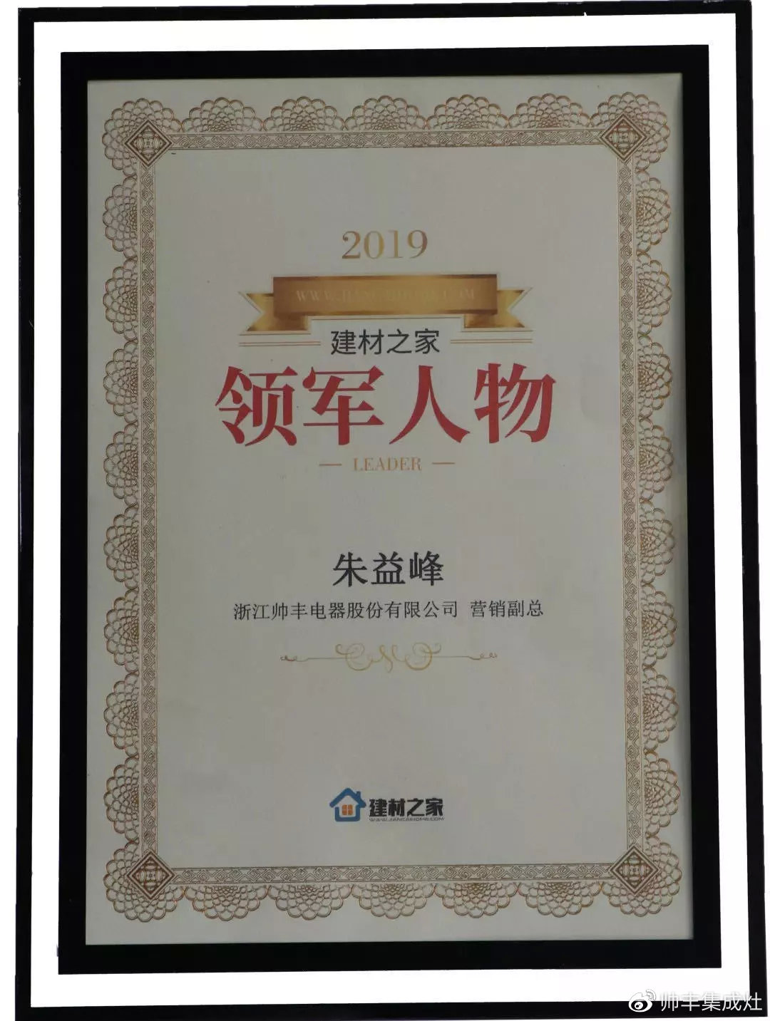2019年多次上榜十大品牌,帅丰引领行业风向标 2019年多次上榜十大品牌,帅丰引领行业风向标