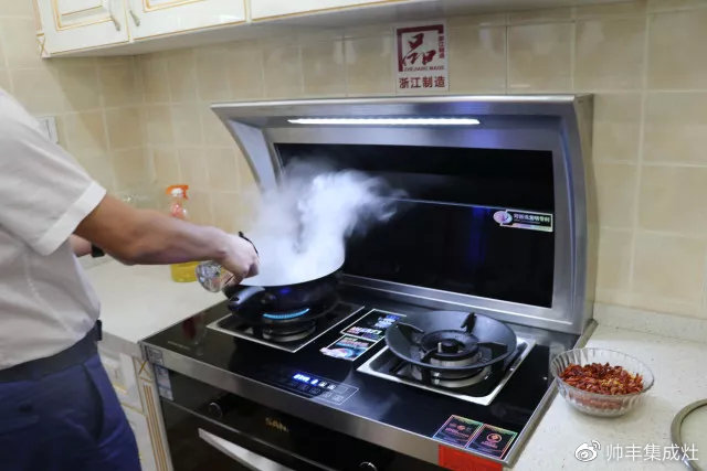 中国集成灶考察团莅临帅丰,专业品质赢盛赞 中国集成灶考察团莅临帅丰,专业品质赢盛赞