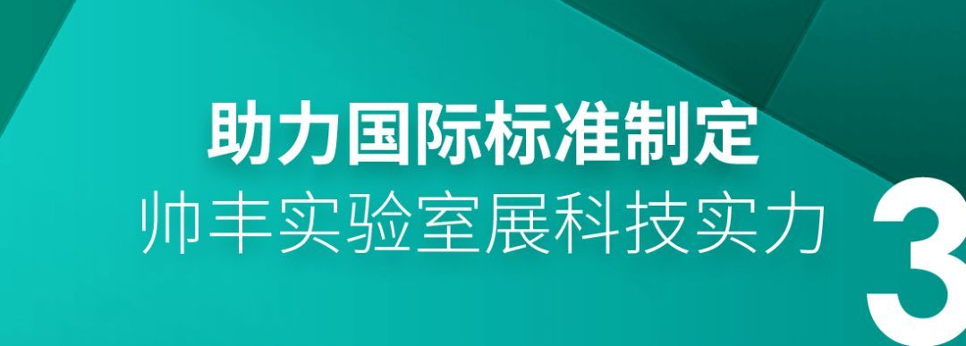 参与33个标准起草,帅丰助力行业高标准发展 参与33个标准起草,帅丰助力行业高标准发展