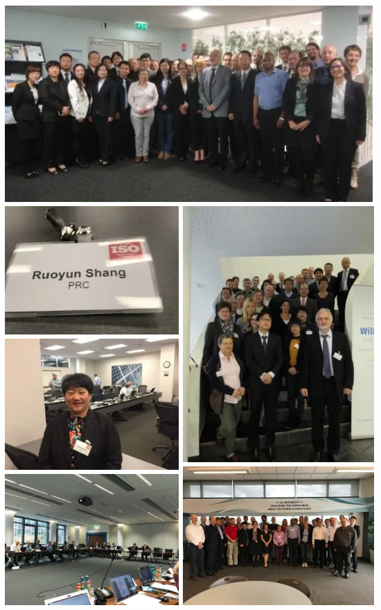 集成灶领军品牌帅丰成首批省级标准国际化试点基地,加入产业国际化步伐 集成灶领军品牌帅丰成首批省级标准国际化试点基地,加入产业国际化步伐