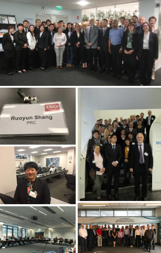 科技创新、标准引领、服务赋能,帅丰集成灶“夺冠”2021新增市场 科技创新、标准引领、服务赋能,帅丰集成灶“夺冠”2021新增市场