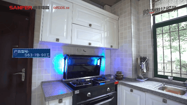 听她说,帅丰集成灶是她的养生搭档 听她说,帅丰集成灶是她的养生搭档