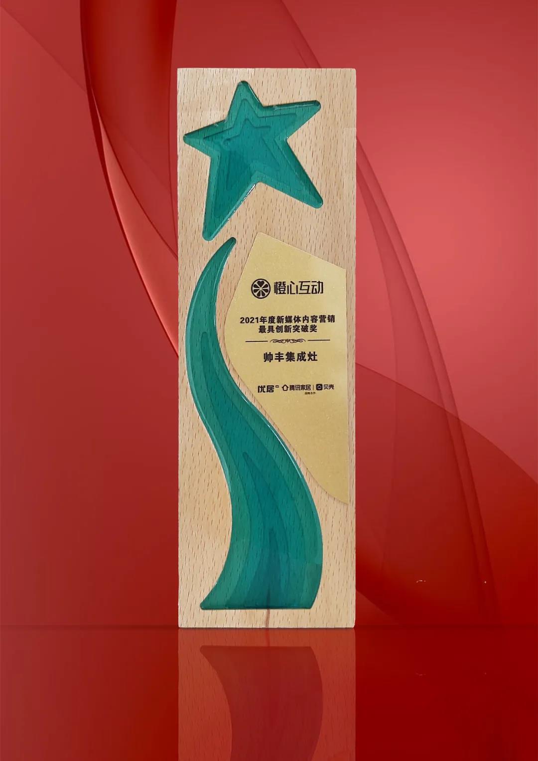 实力丰范│引领行业的“追光者”，帅丰载誉而归！